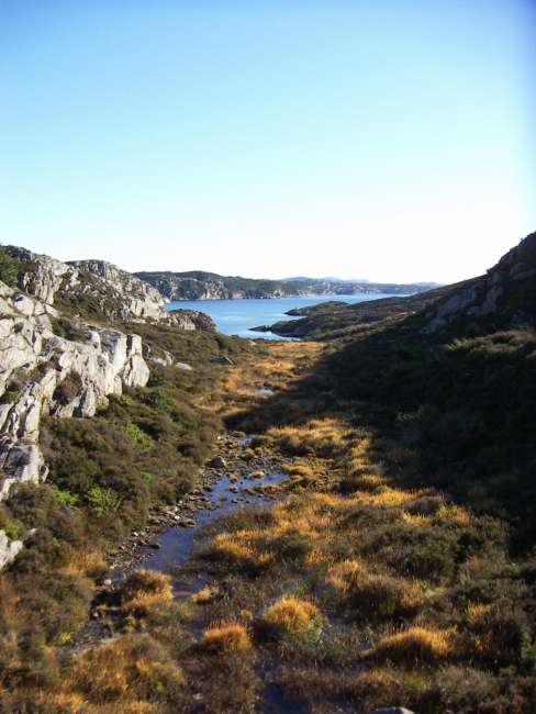 Bažina